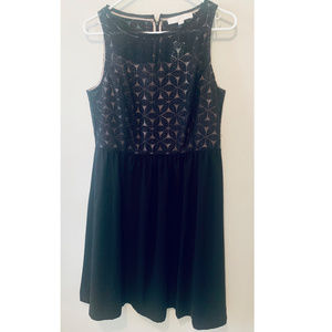 Loft Black Eyelet Cocktail Dress NWT